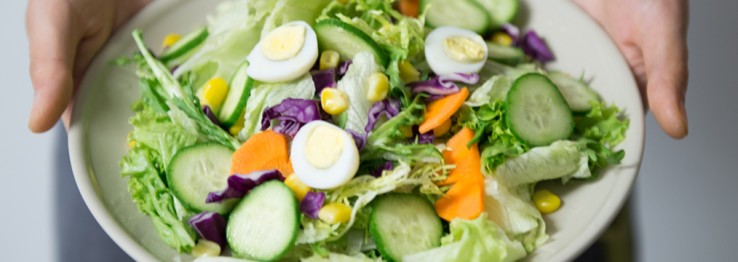 Vegetarisch Vegetarisch