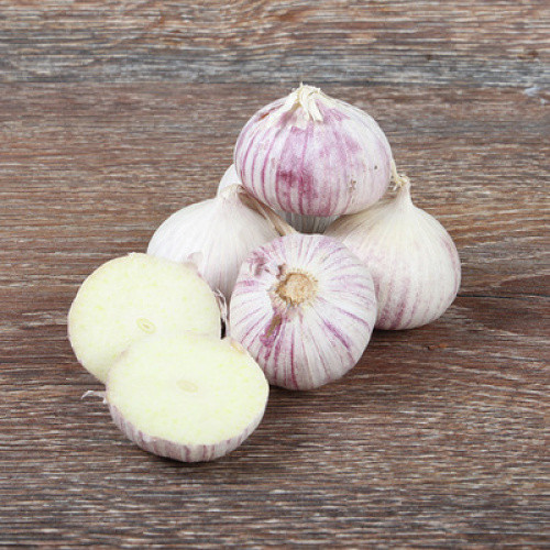 Knoblauch ´Solo´ 250g Knoblauch ´Solo´ 250g