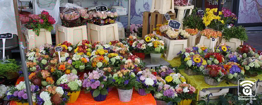 Blumenmarkt stimmt auf den Frühling ein Blumenmarkt stimmt auf den Frühling ein