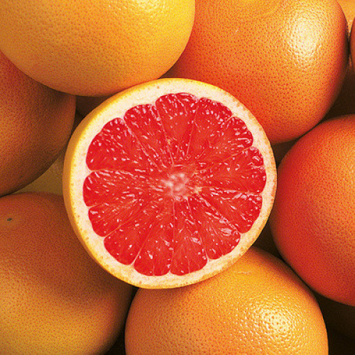 Grapefruit Star Ruby Kl.I 400g Grapefruit Star Ruby Kl.I 400g