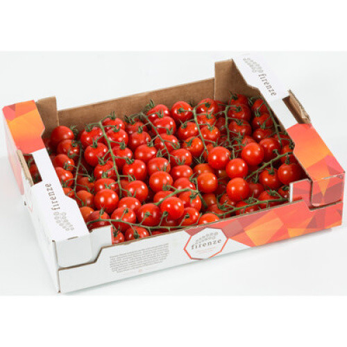 Tomate Cherrystrauch 1kg Tomate Cherrystrauch 1kg