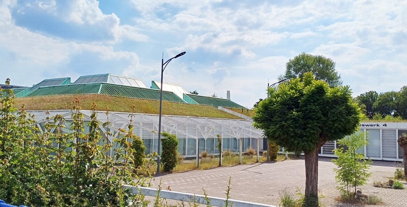 Der Ton im politischen Streit um die Mack-Pyramide wird härter Der Ton im politischen Streit um die Mack-Pyramide wird härter