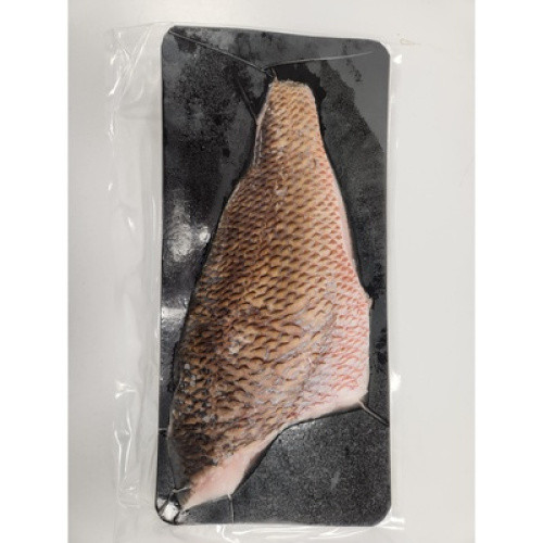 Red Snapper roh mit Haut geschuppt TK 600g Red Snapper roh mit Haut geschuppt TK 600g