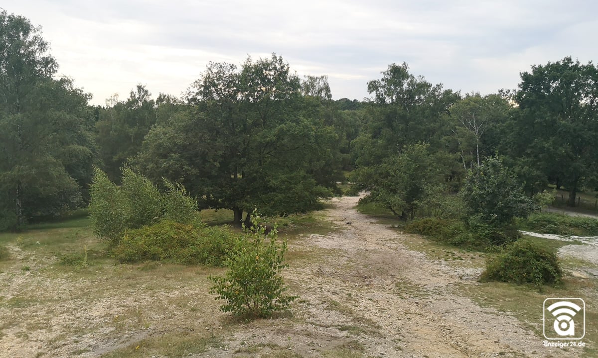 Hildener-Heide-2