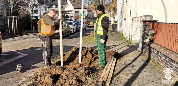 Wurde die Bewässerung vernachlässigt?