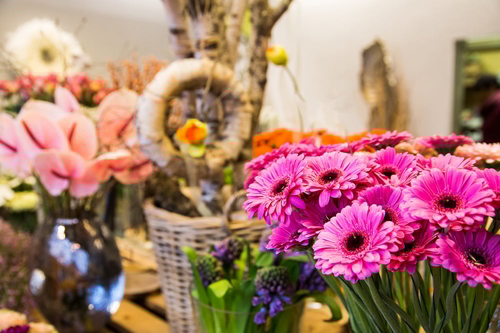 wildrose-langenfeld-floristik-blumenhandel-4CxC6U2RFthkEx