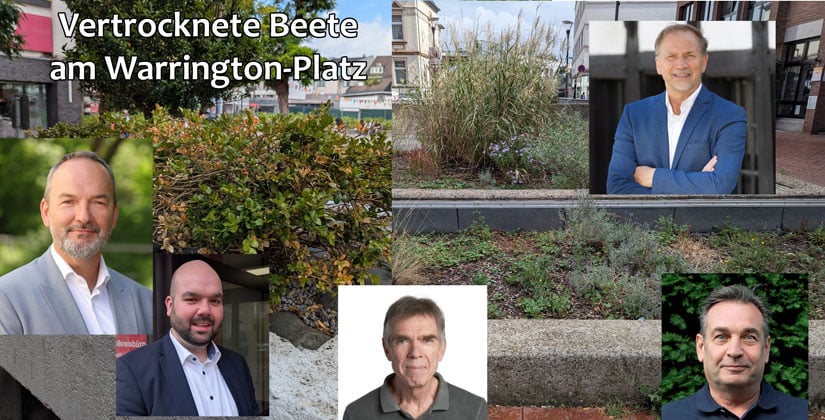 Sollten öffentliche Beete, Blumeninseln und Grünstreifen gepflegter sein? Sollten öffentliche Beete, Blumeninseln und Grünstreifen gepflegter sein?
