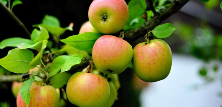 2020 beschlossen – was ist daraus geworden?