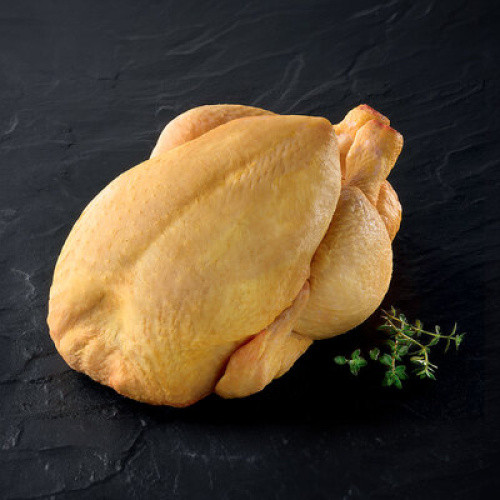 Französisches Maishähnchen frisch ca.1,2-1,4kg Französisches Maishähnchen frisch ca.1,2-1,4kg