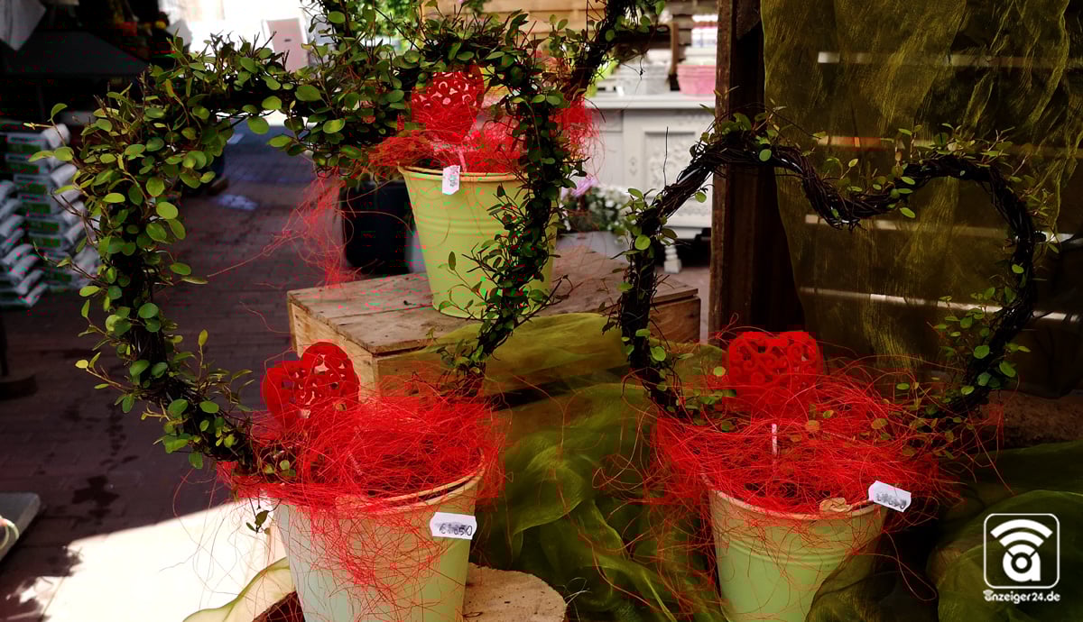 Blumen-Pavillon-Merkelbach-Hilden-Muttertag-Geschdenk