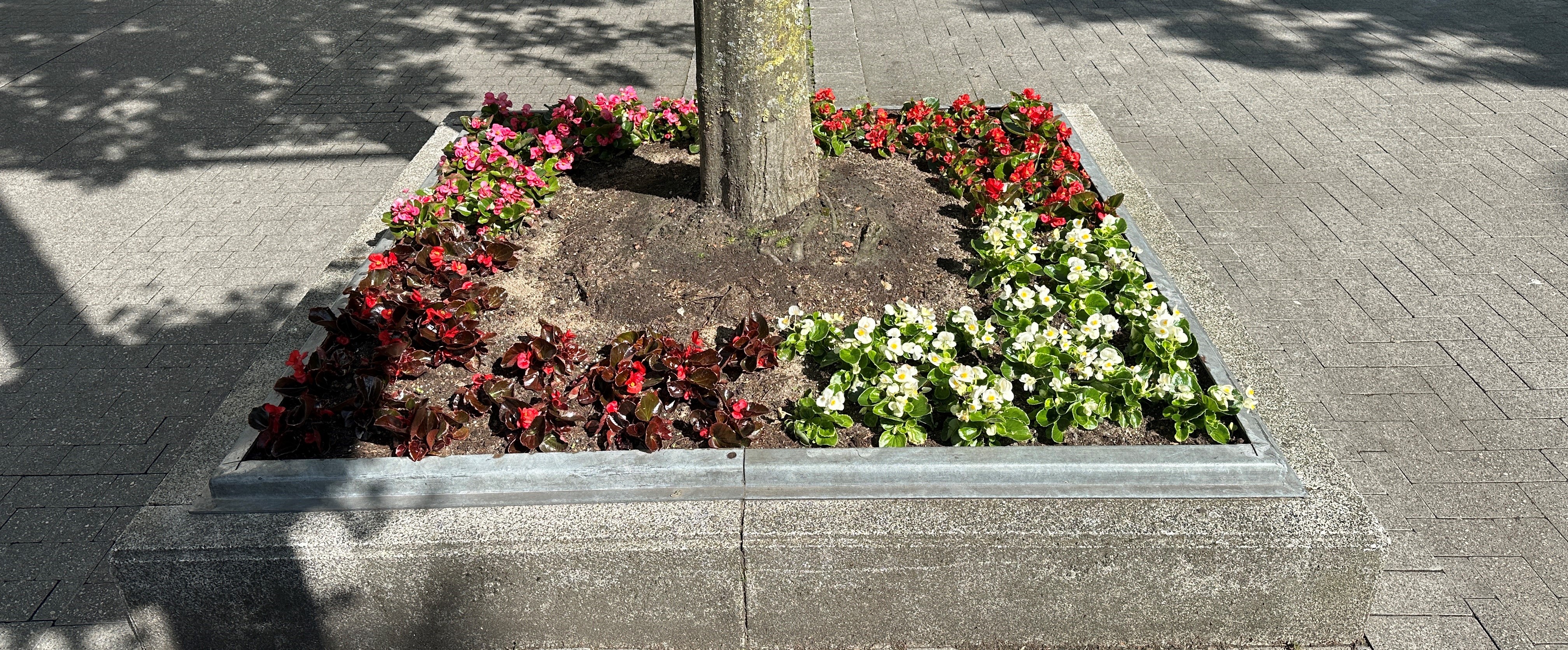 Blumenbeet-Velbert-Beispiel