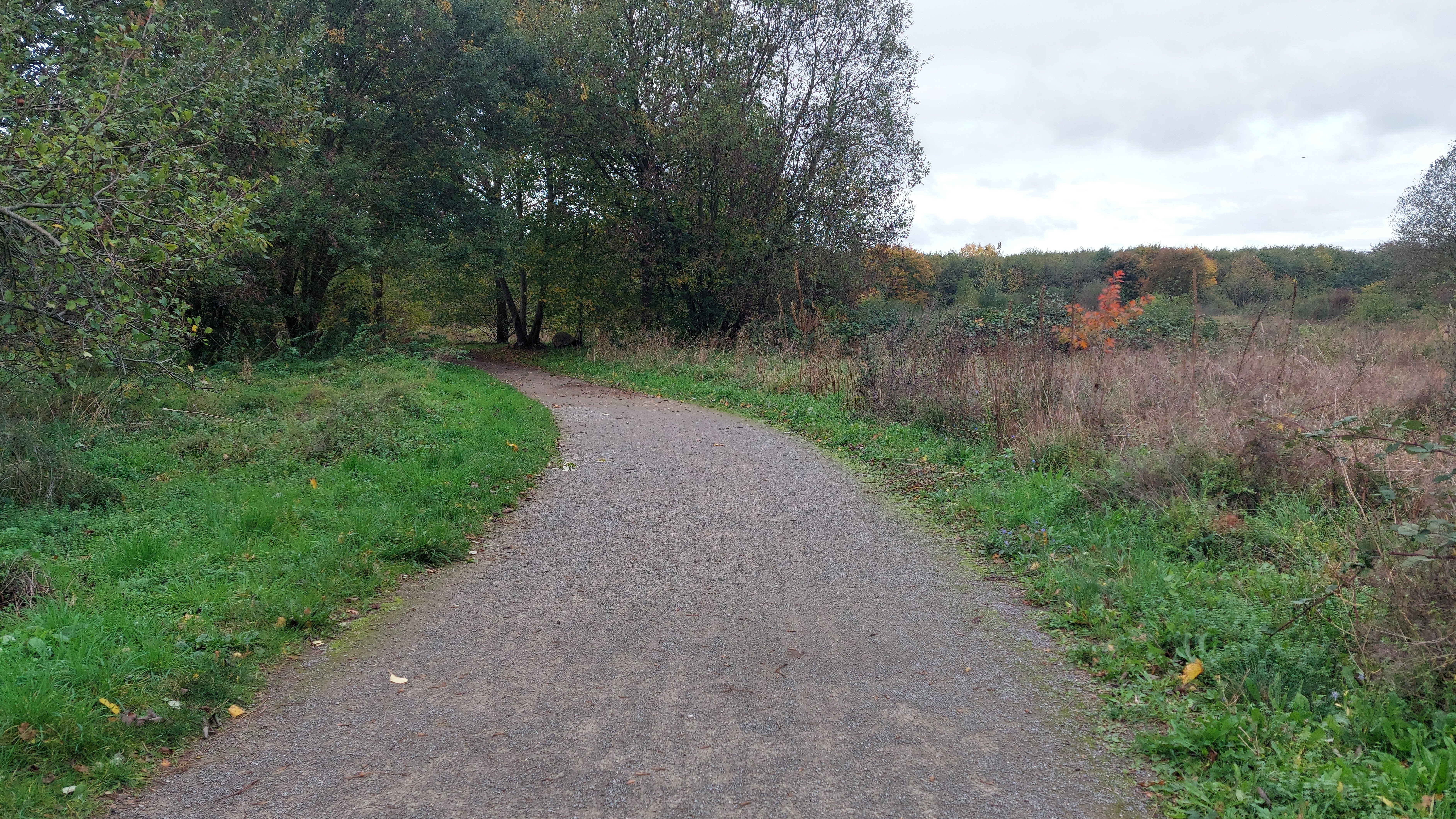 Landschaftspark-Fuhrkamp-Landschaft