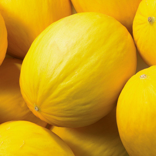 Honigmelone 1St Honigmelone 1St