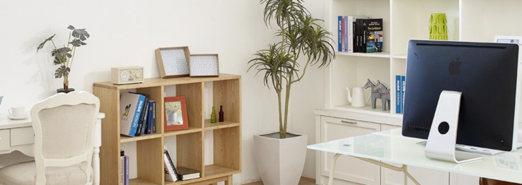 Vermietungen Vermietungen