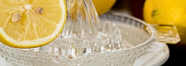 Saftpresse Saftpresse