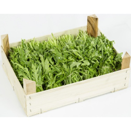 Rucola verzehrfertig frisch 1kg Rucola verzehrfertig frisch 1kg