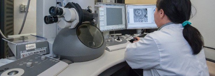 Pathologie Pathologie