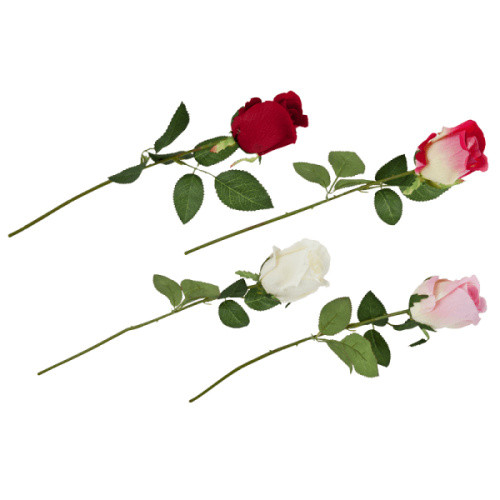 Deluxe Rose Deluxe Rose