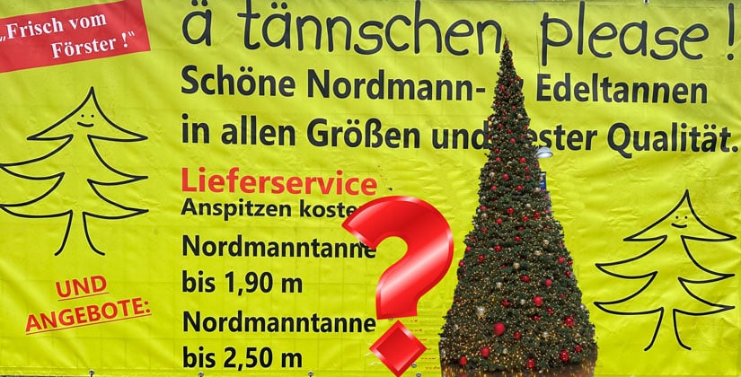Hält der Baum überhaupt so lange durch? Hält der Baum überhaupt so lange durch?