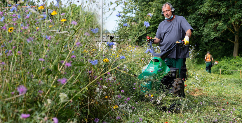 Förderverein NaturGut Ophoven lässt die Blühwiesen abmähen
