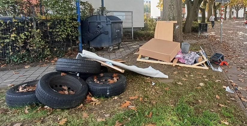 Stadt verschärft Vorgehen gegen illegale Ablagerungen – 56 Verdachtsfälle bearbeitet, Kameraüberwachung wird geprüft