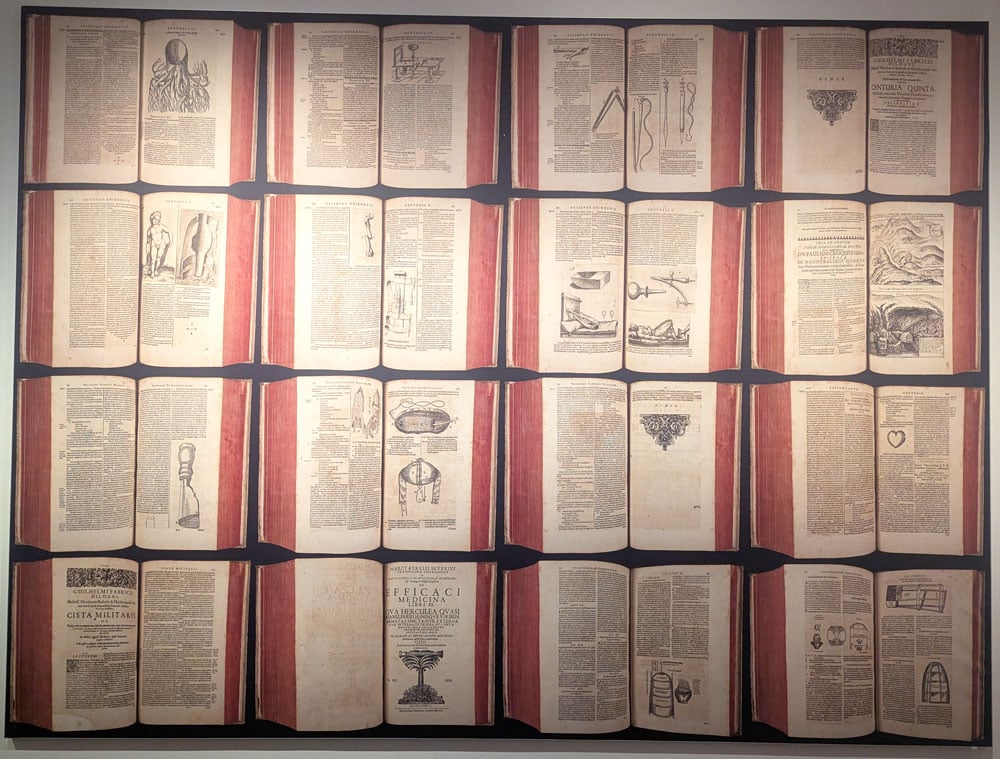 Fabry-Museum-Ausstellung-Colinet-Buecher