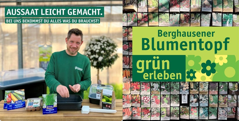 Frühlingszeit – Aussaatzeit: Sämereien zum säen, pflegen und staunen