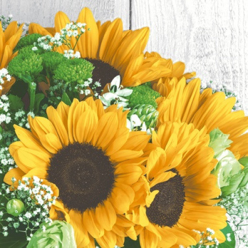 Serviette Harvest Sunflower 33x33cm 3-lagig 20St Serviette Harvest Sunflower 33x33cm 3-lagig 20St