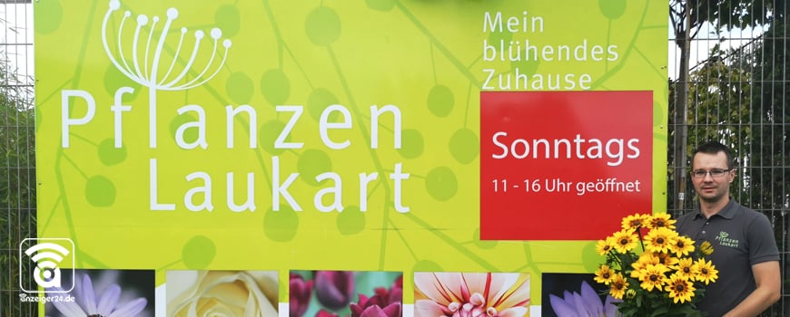 Frische Blumen auch am Wochenende