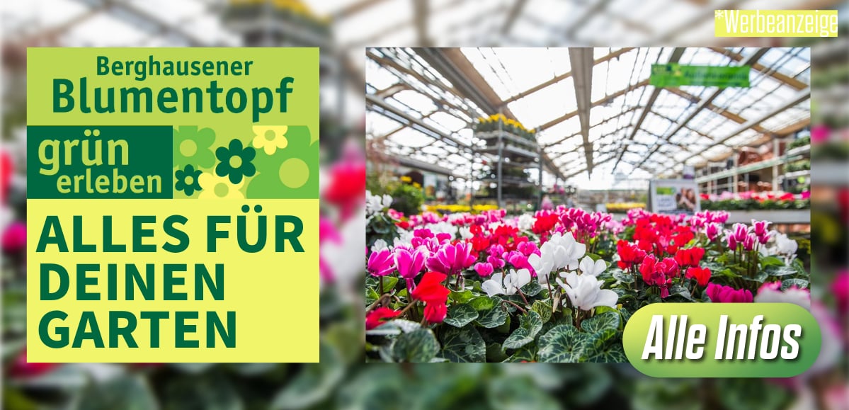 L-11-Berghausener-Blumentopf