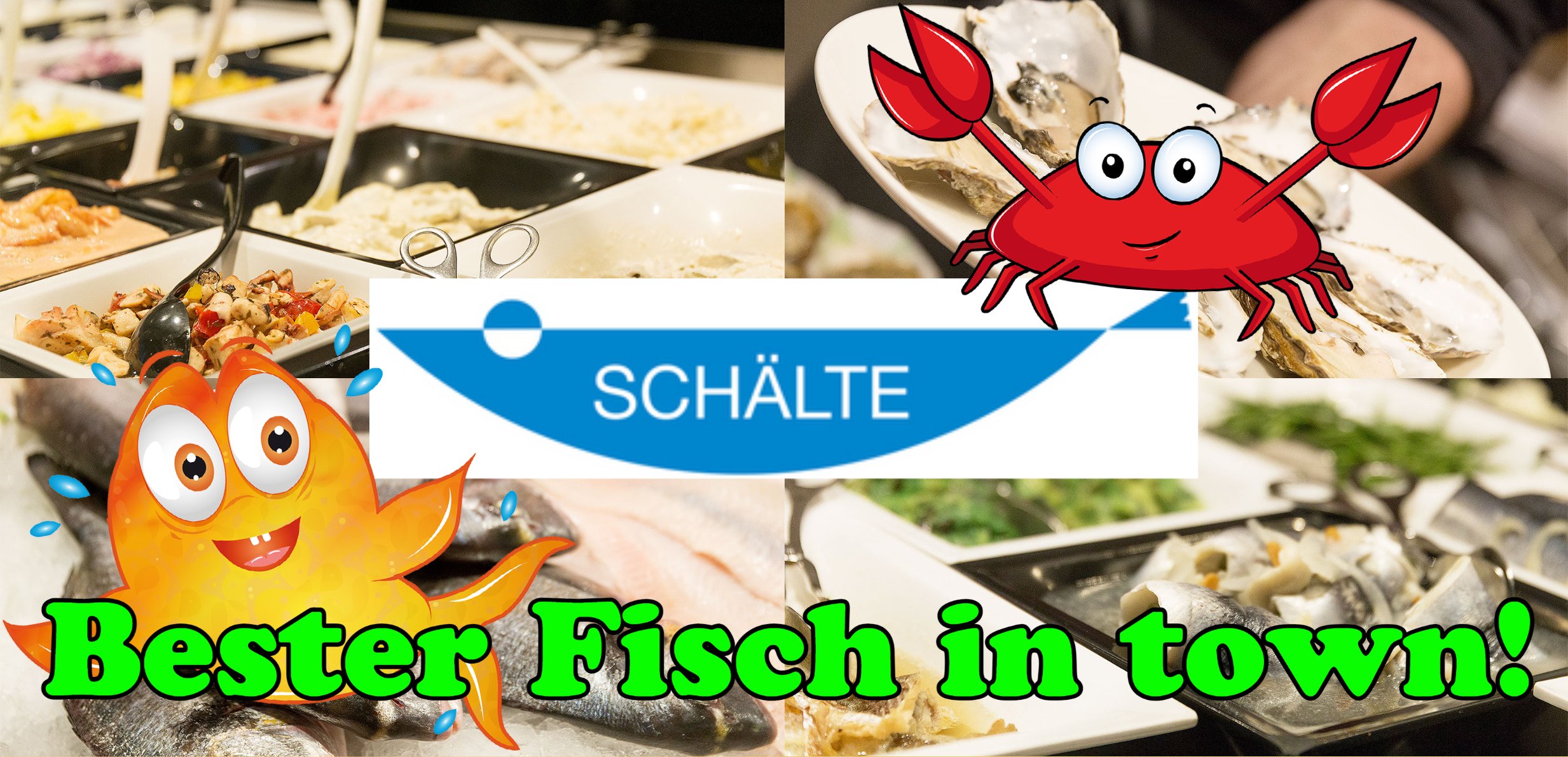 Schaelte-Banner