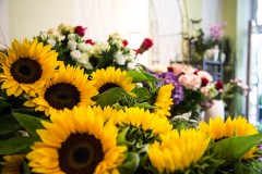 Floristik Kanpan Floristik Kanpan