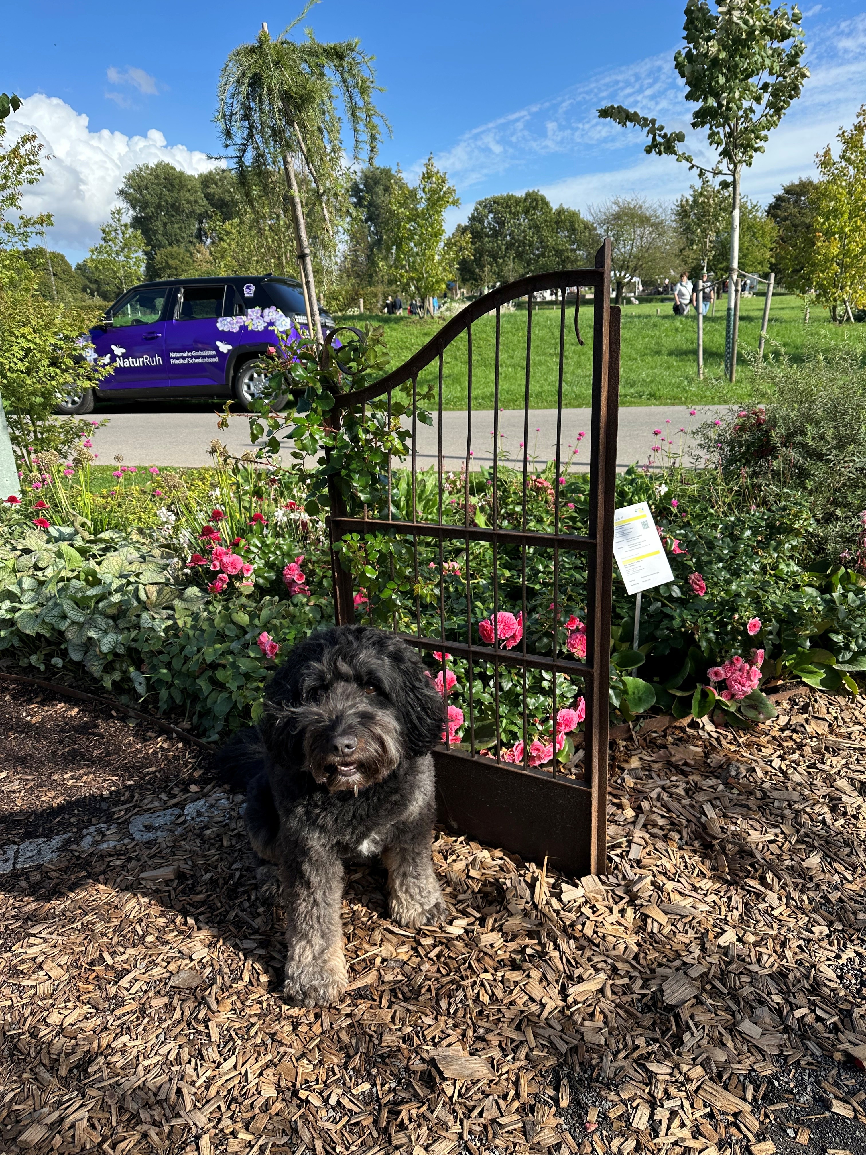LAGA-Neuss-mit-Friedhofshund-Grabpflege-Hastrich