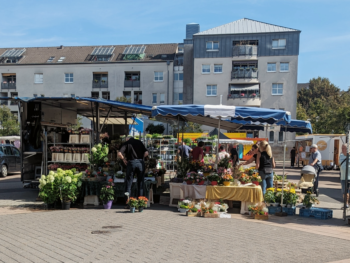 Der Wochenmarkt Hilden bietet auch frische Blumen