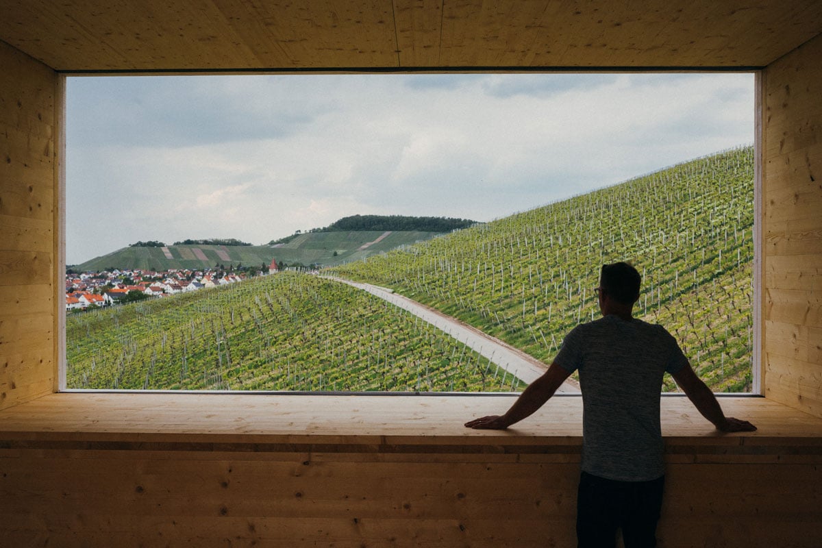Weingut-Schwegler_Vino-Vista-Weinberg