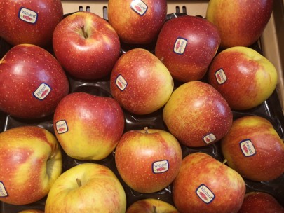 Äpfel gehören nicht in den Kühlschrank, so wie jedes Kernobst