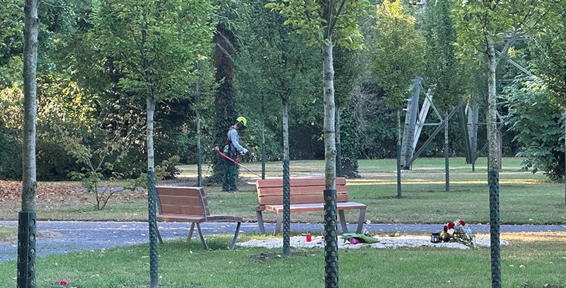 17 Grünpfleger arbeiten auf den Friedhöfen aber nur 34 im Rest der Stadt 17 Grünpfleger arbeiten auf den Friedhöfen aber nur 34 im Rest der Stadt