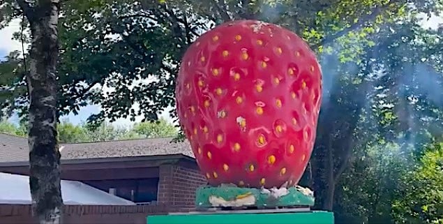 Karnevalsverein organisiert tolles Sommerfest Karnevalsverein organisiert tolles Sommerfest