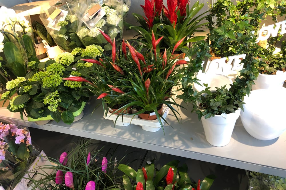 Profi-Florist-by-Karma-Velbert-3