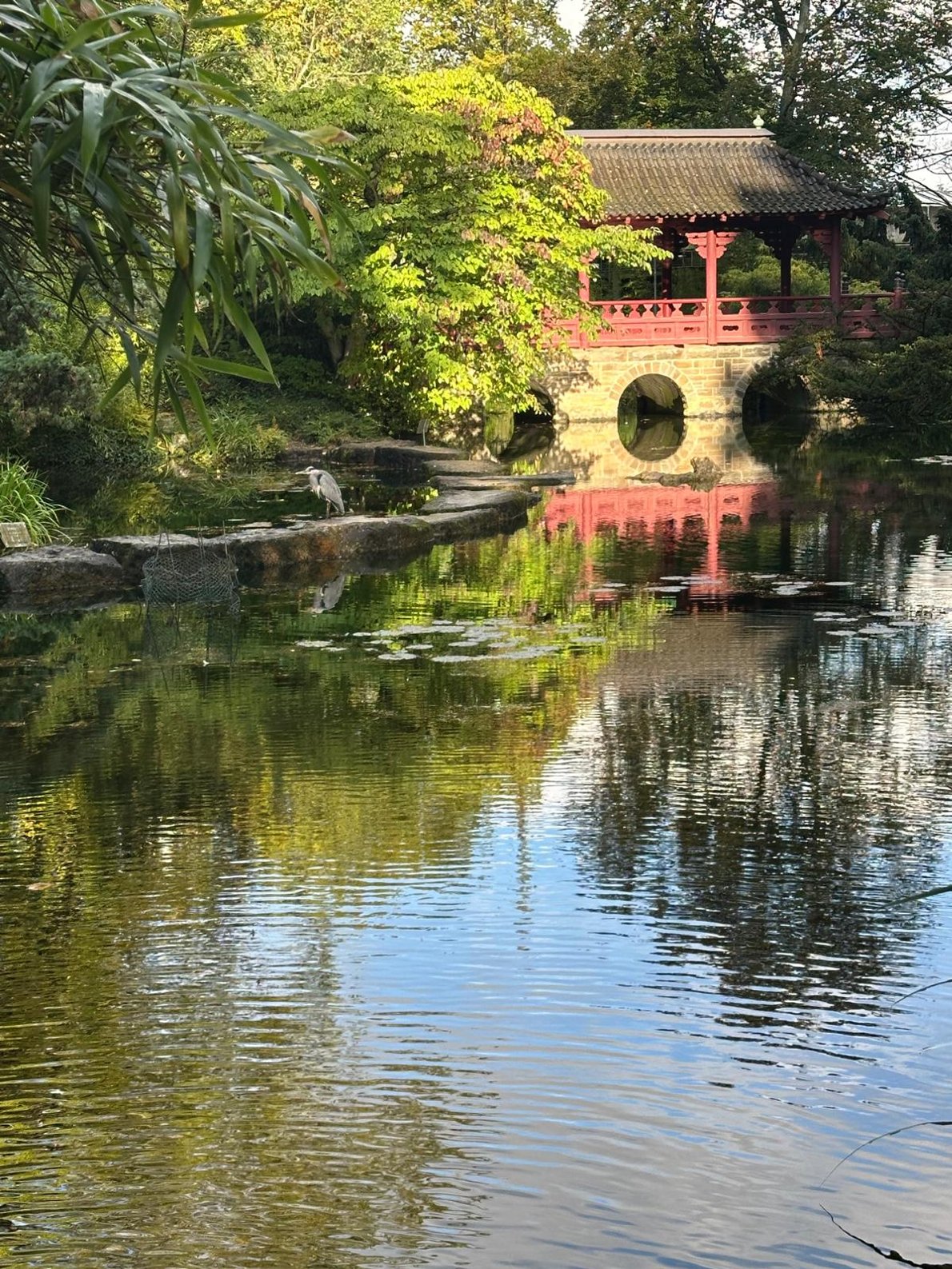 Philipps-Gaerten-Leverkusen-Wir-fuer-Rheindorf-Teich-Bruecke