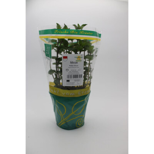 Bio Minze frisch 1St Bio Minze frisch 1St