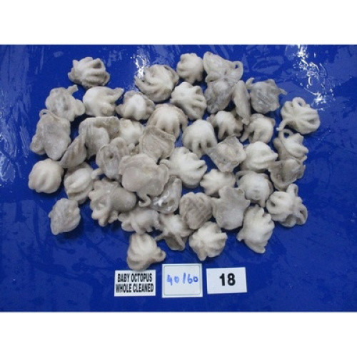 Oktopus 40/60 roh ganz mit Haut TK 1kg Oktopus 40/60 roh ganz mit Haut TK 1kg