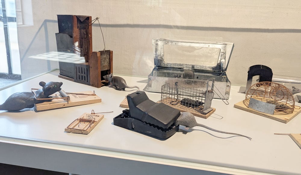 Historische-Kornbrennerei-Ausstellung-Ratten-Fallen