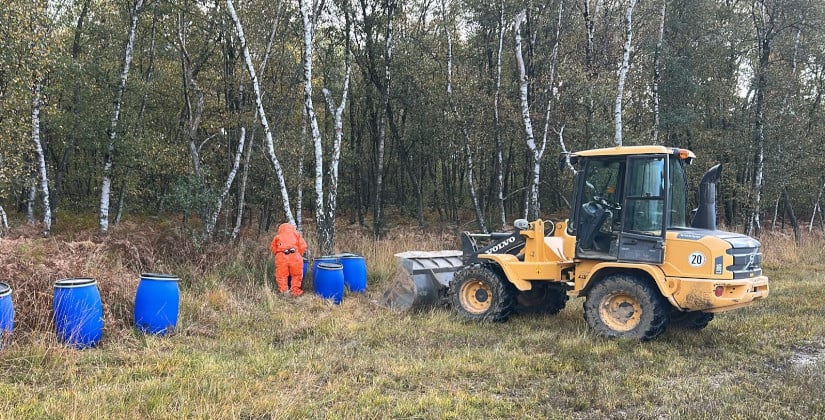 400 Kilo Schlachtabfälle gefunden - Stadt setzt Belohnung aus