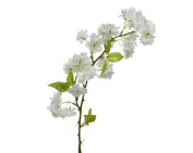 Kunstblume BLÜTE
Kunstblume BLÜTE Kunstblume BLÜTE
Kunstblume BLÜTE