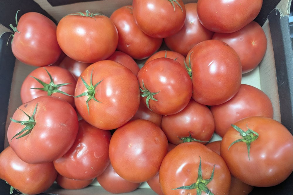 Anna-Polnische-Spezialitaeten-Tomaten