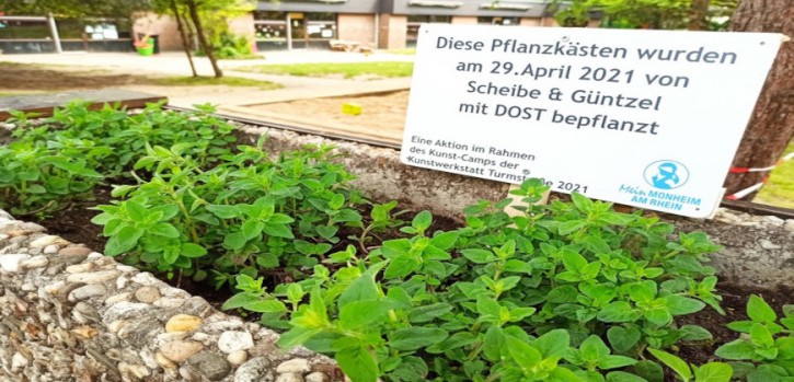 Aktionsreihe des Künstlerduos Scheibe & Güntzel 