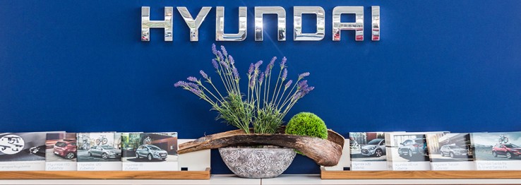 Automarken Automarken