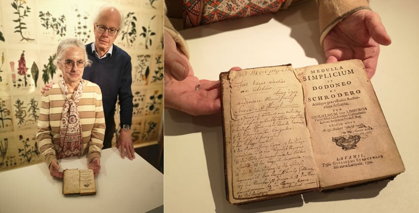 Begehbares Herbarium – Bezug zu Hildens ältester Apotheke