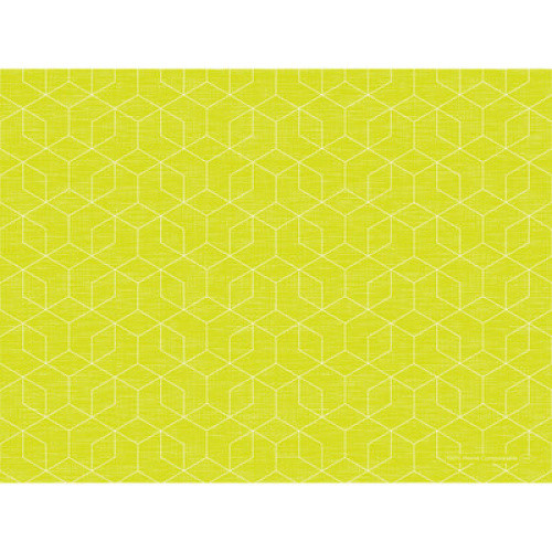 Bio-Dunicel-Sets Eco Graphics kiwi 100 St Bio-Dunicel-Sets Eco Graphics kiwi 100 St